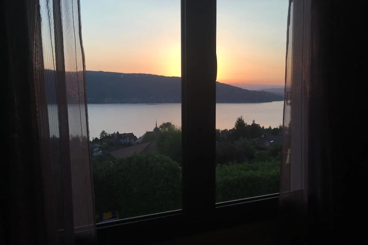 Maisonnette vue panoramique lac d'Annecy Veyrier-du-Lac 0*,